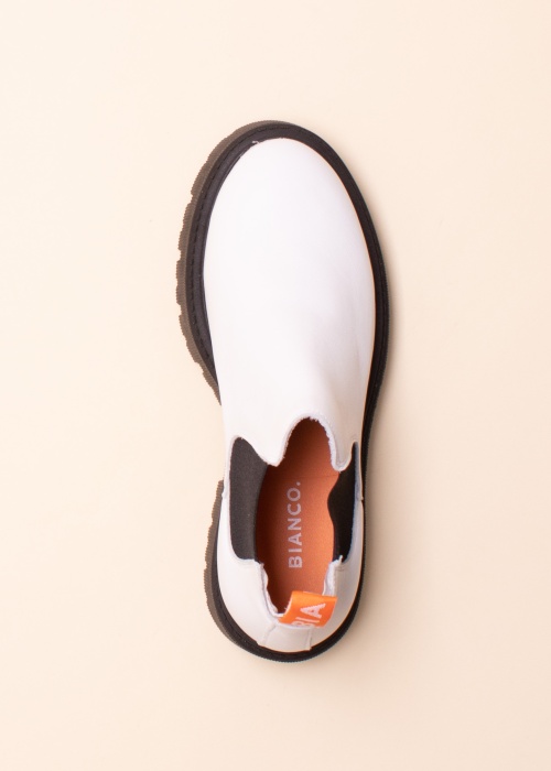 Bianco aulinukai Biagarbi