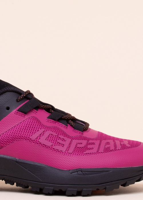 Icepeak žygio batai Aigio