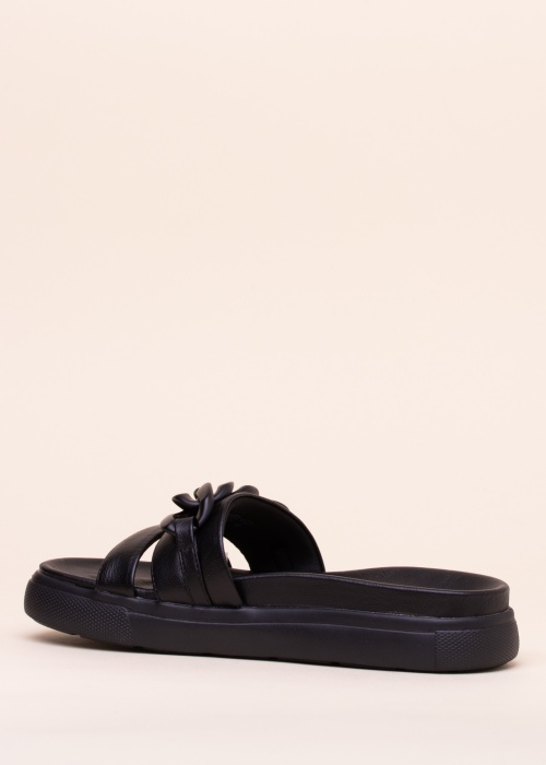 Bagatt basutės Dalia