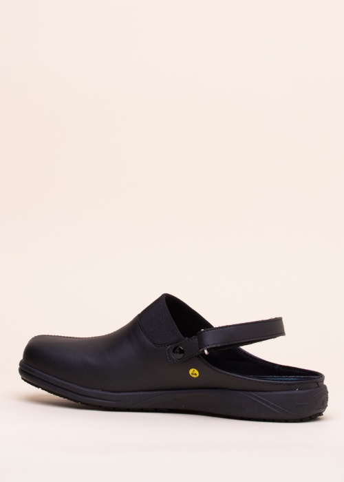 Oxypas darbo batai Dany