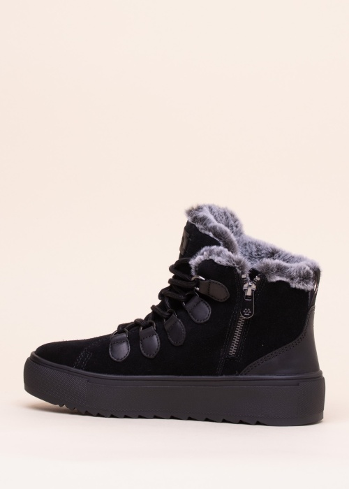 Cougar aulinukai Avril