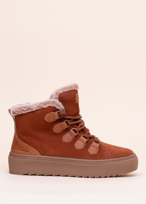 Cougar aulinukai Avril