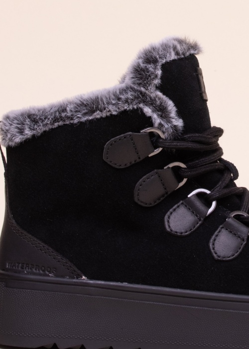 Cougar aulinukai Avril