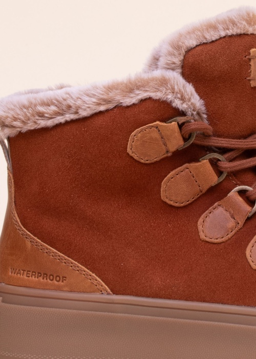 Cougar aulinukai Avril