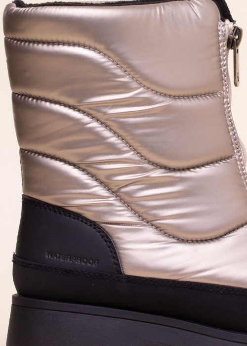 Cougar aulinukai Savvy