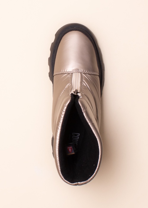 Cougar aulinukai Savvy