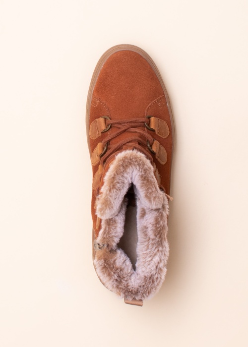 Cougar aulinukai Avril