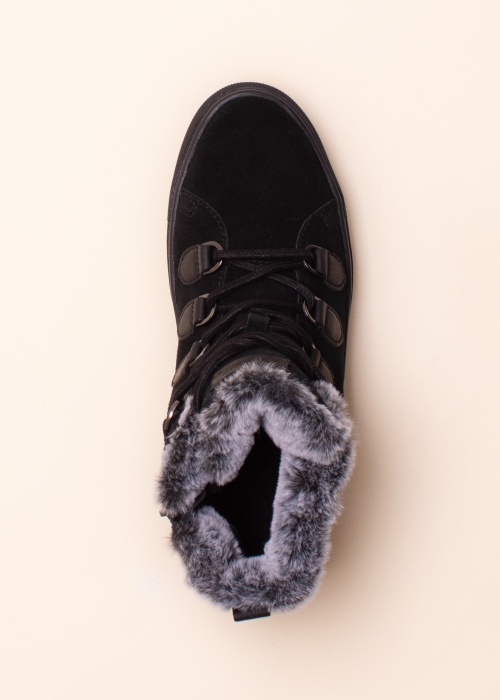 Cougar aulinukai Avril