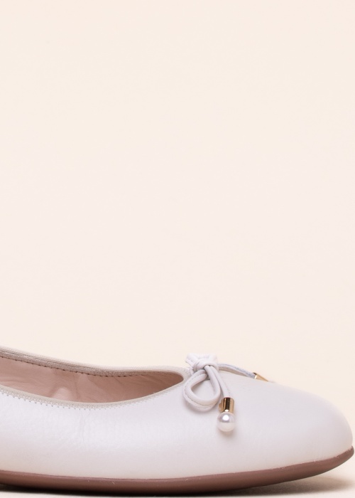 Ara balerinos Sardinia