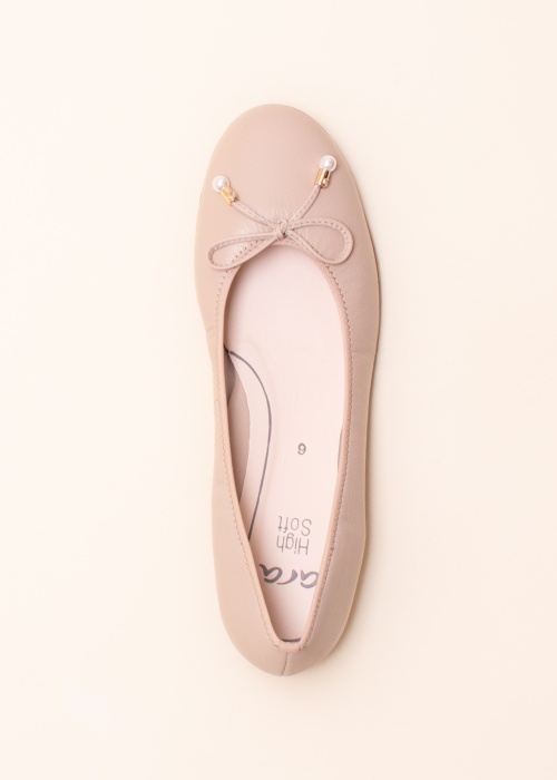 Ara balerinos Sardinia