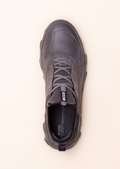 Ecco žygio batai Mx