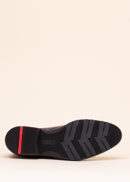 Lloyd aulinukai Jeffrey