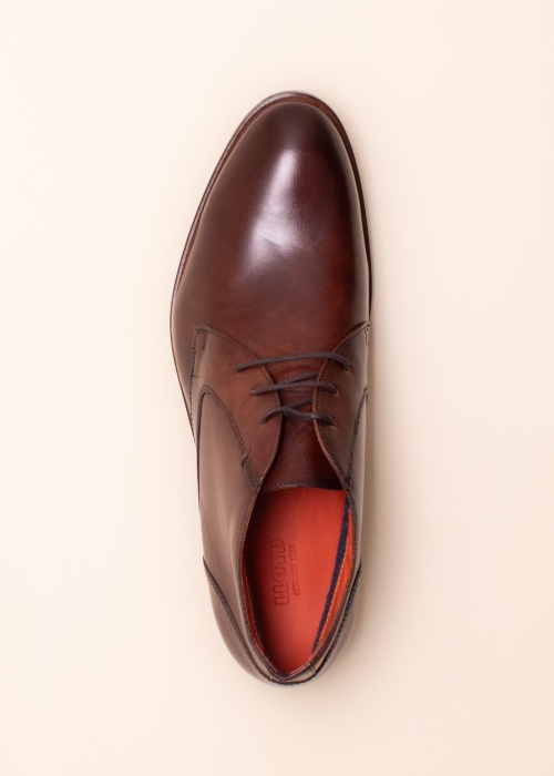 Lloyd aulinukai Jeffrey