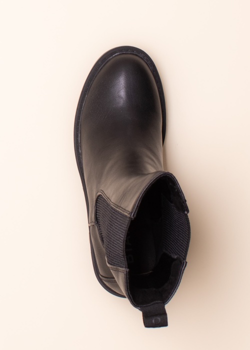 Bianco aulinukai Biagisella