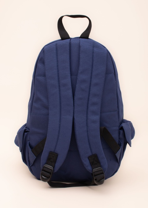 Icepeak kuprinė Gurley