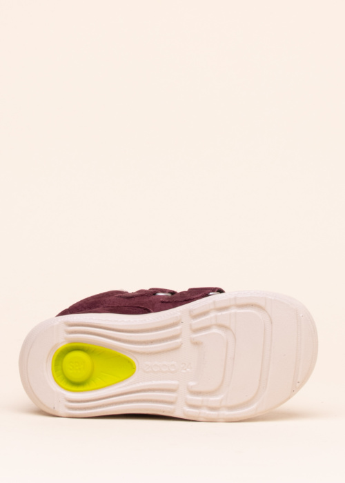 Ecco žieminiai batai Sp.1 Lite