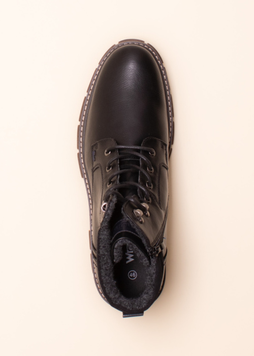 Wrangler aulinukai Morgan