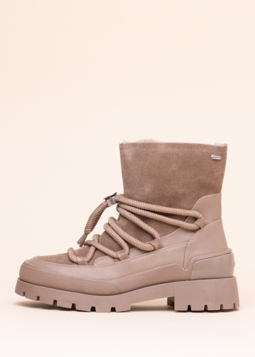 Mexx aulinukai Pisana