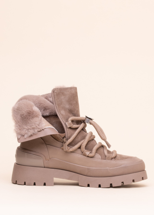 Mexx aulinukai Pisana