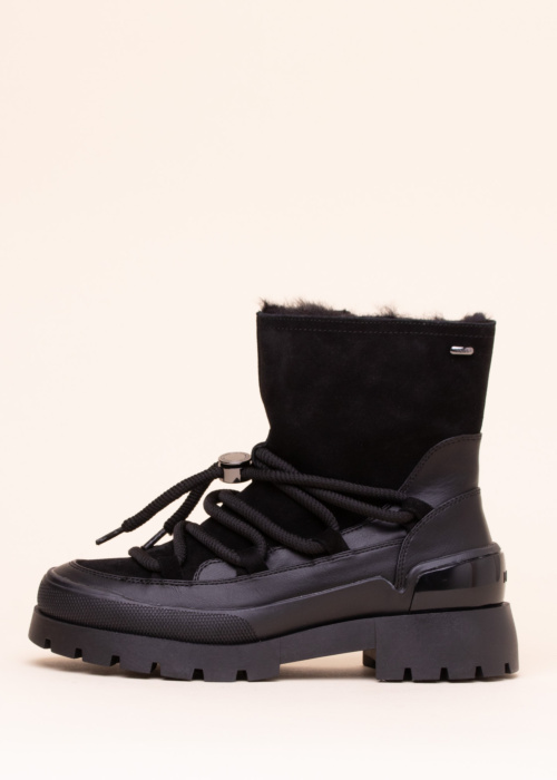 Mexx aulinukai Pisana