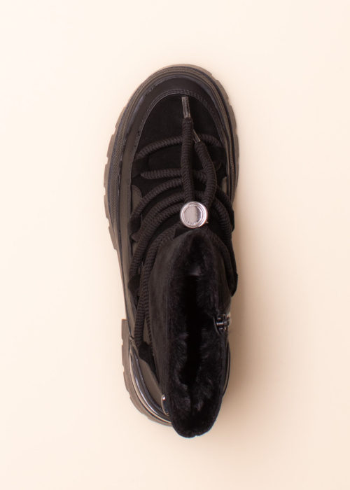 Mexx aulinukai Pisana