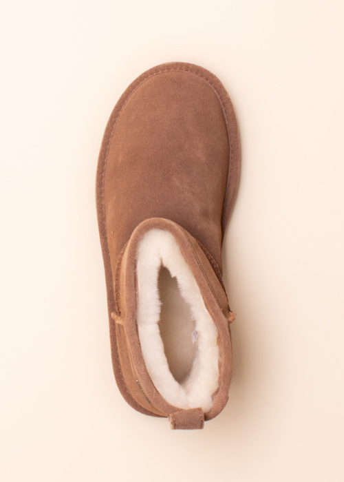 Axelda aulinukai Venezia