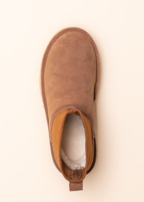 Axelda aulinukai Linz