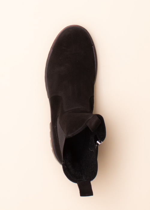 Aaltonen aulinukai su spygliais