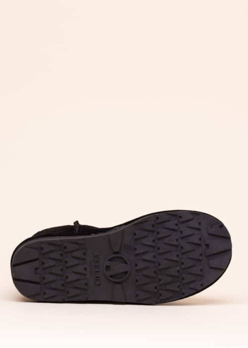 Axelda aulinukai Venezia