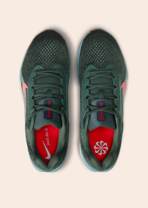 Nike bėgimo bateliai Air Winflo 11