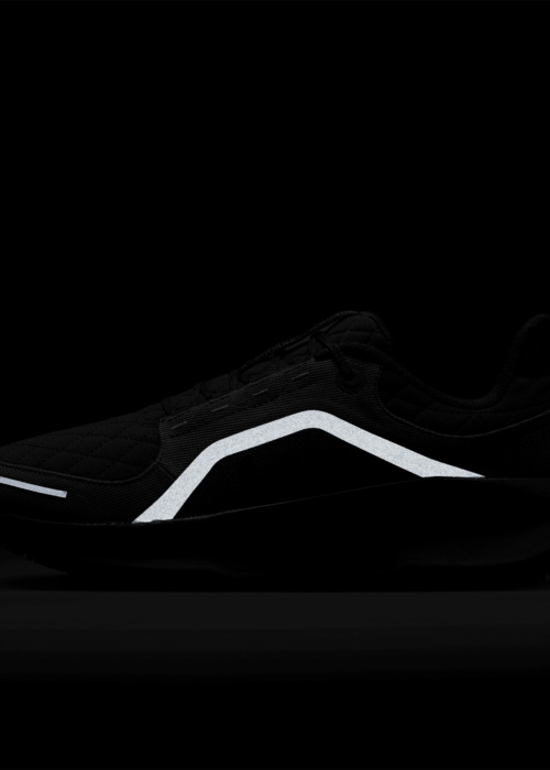 Nike bėgimo bateliai Air Winflo 11 Gtx