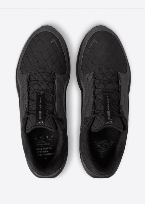 Nike bėgimo bateliai Air Winflo 11 Gtx