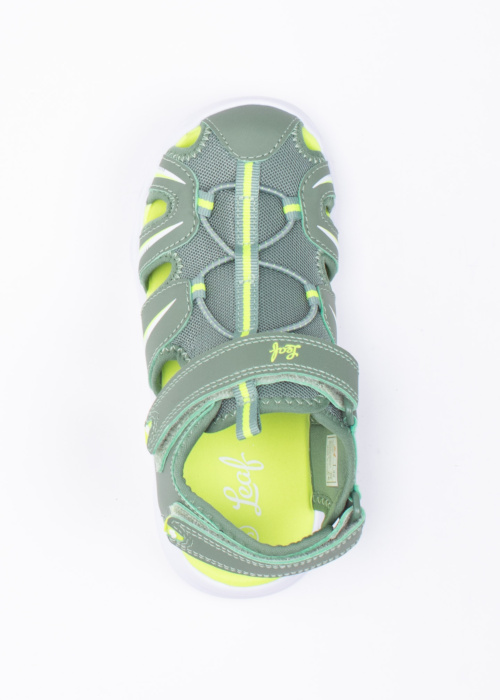 Leaf šviečiančios basutės Skulltorp