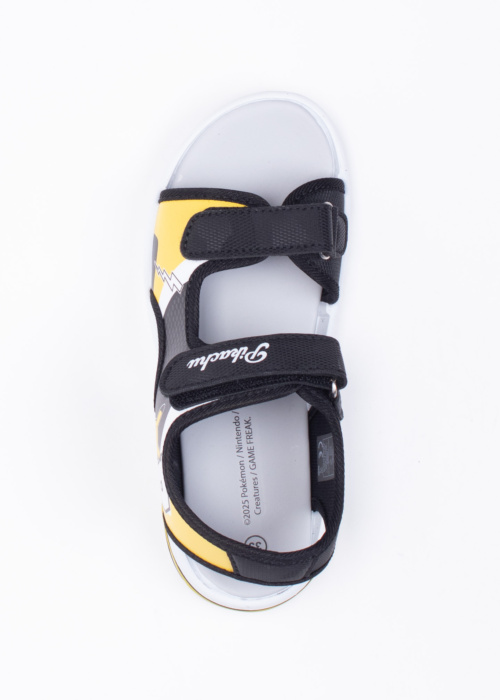 Leomil šviečiančios basutės Pokemon