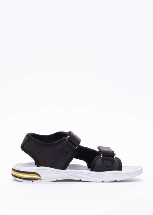 Leomil šviečiančios basutės Pokemon