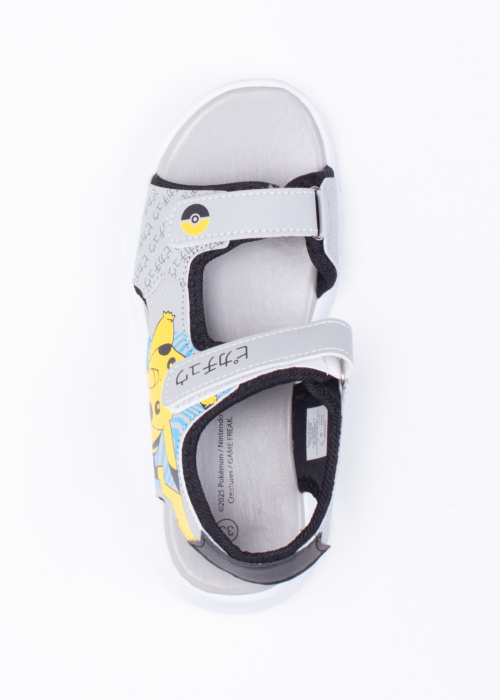 Leomil šviečiančios basutės Pokemon