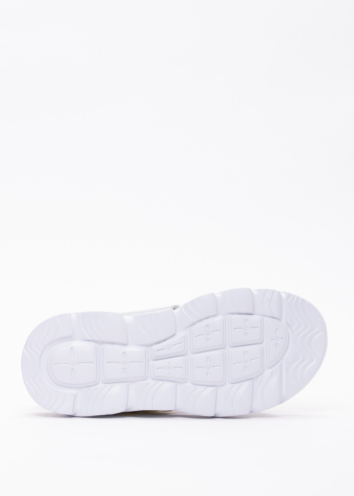 Leomil šviečiančios basutės Pokemon