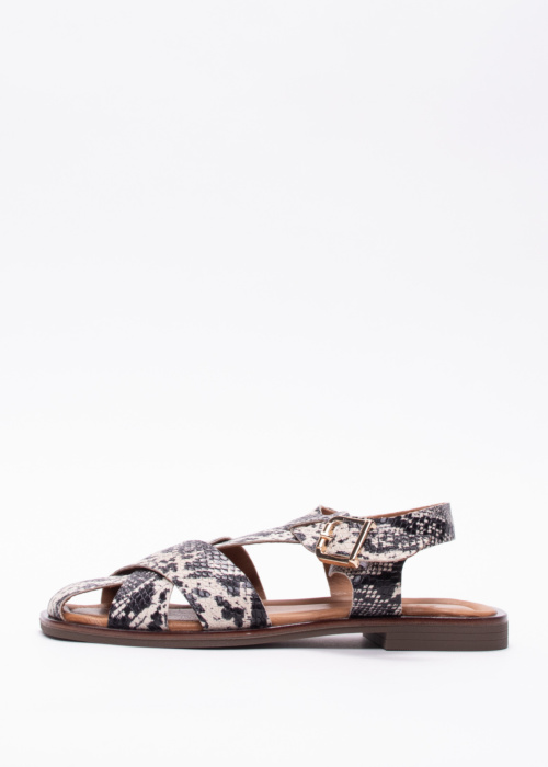 Molly Bessa bateliai