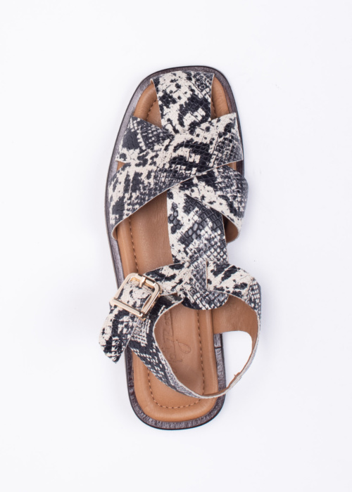 Molly Bessa bateliai