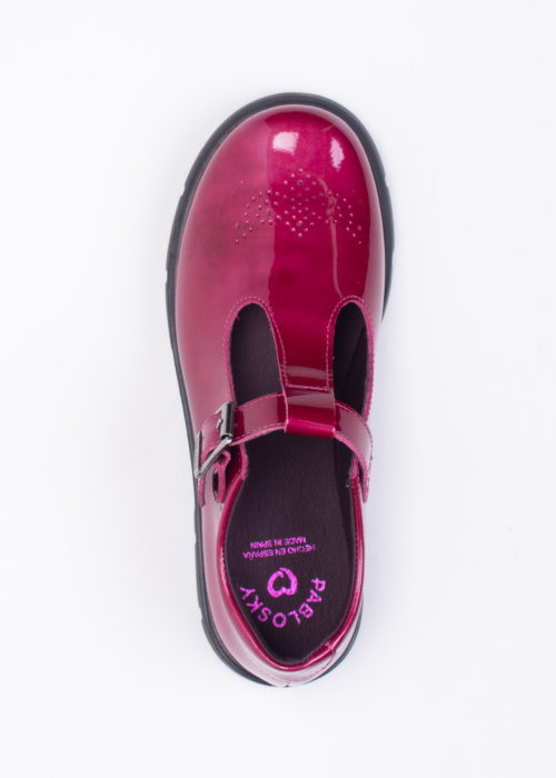 Pablosky bateliai Sapiens