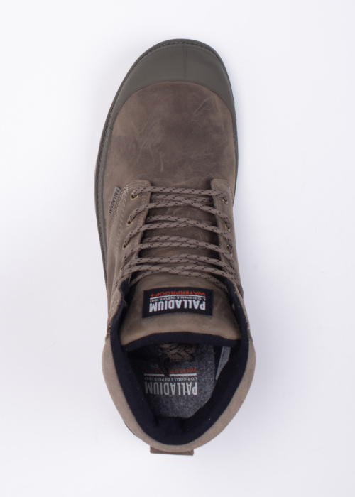 Palladium aulinukai Pampa