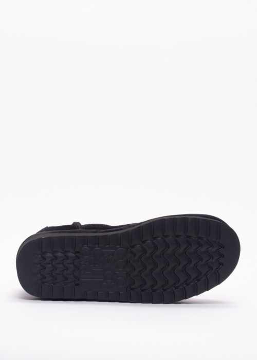 Colors of California aulinukai