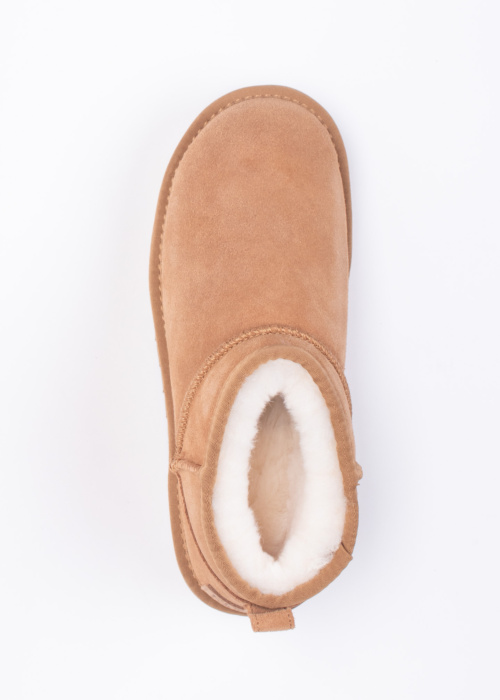 Colors of California aulinukai