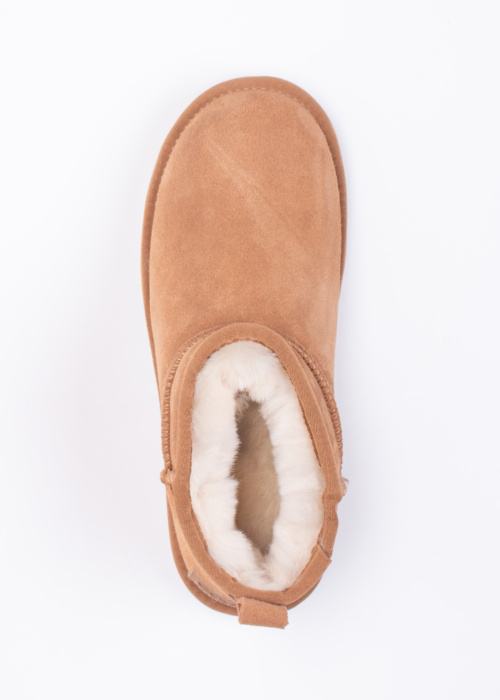 Colors of California aulinukai