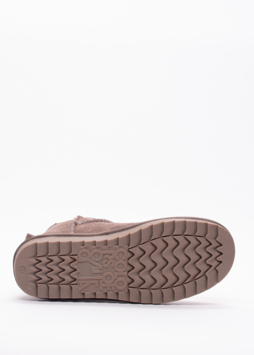 Colors of California aulinukai