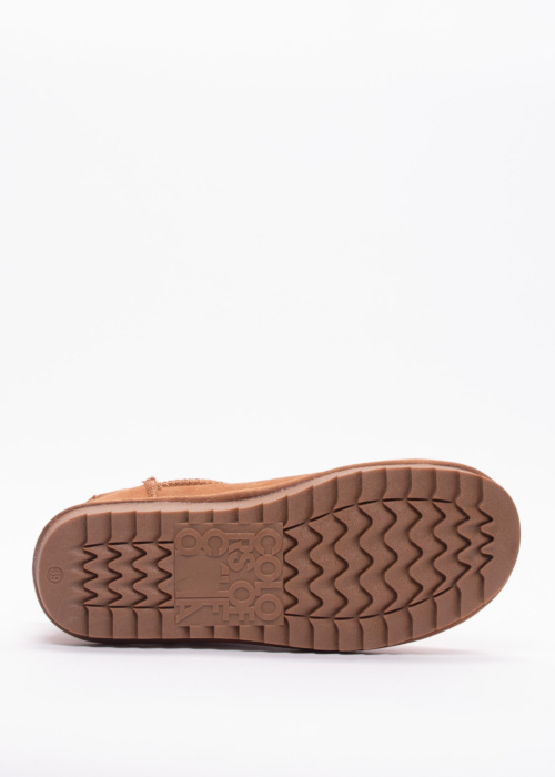 Colors of California aulinukai