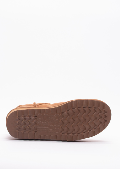 Colors of California aulinukai