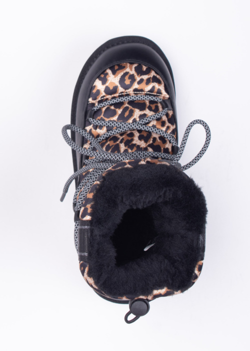 D.Franklin aulinukai