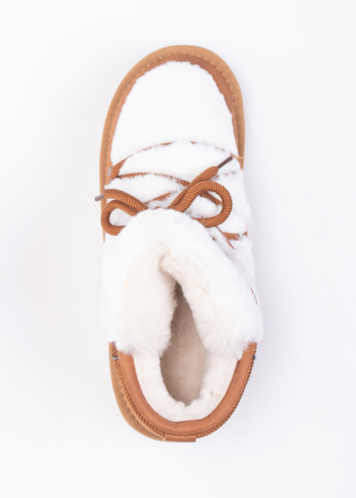 D.Franklin aulinukai