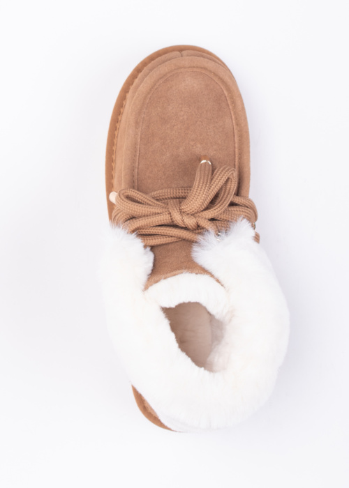 D.Franklin aulinukai